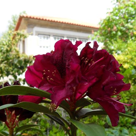 Quinta Do Bento Novo - Casa De Campo - Turismo Rural Viana do Castelo Zewnętrze zdjęcie