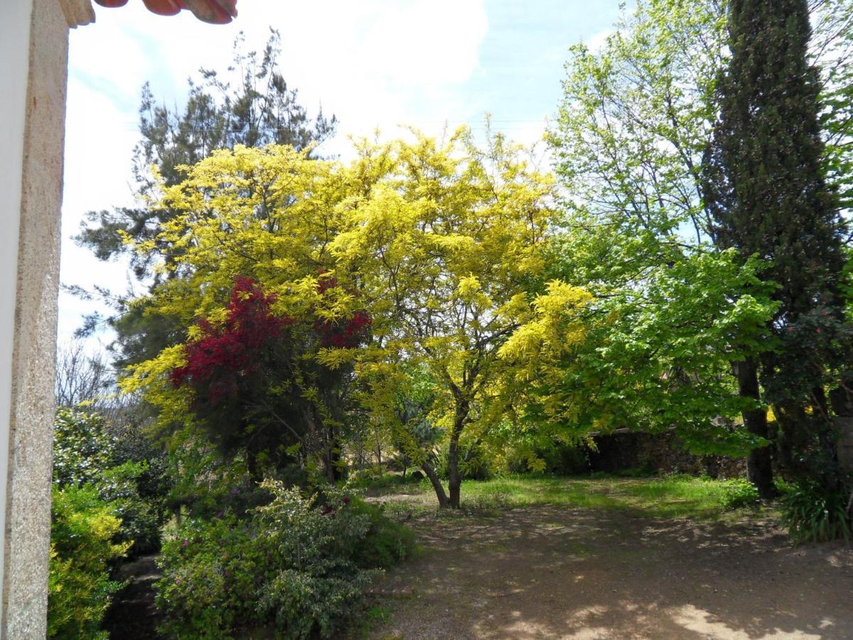 Quinta Do Bento Novo - Casa De Campo - Turismo Rural Viana do Castelo Zewnętrze zdjęcie