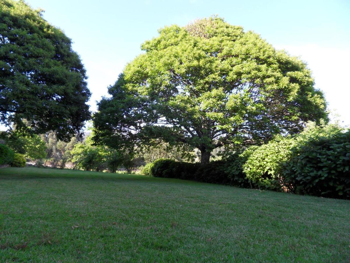 Quinta Do Bento Novo - Casa De Campo - Turismo Rural Viana do Castelo Zewnętrze zdjęcie