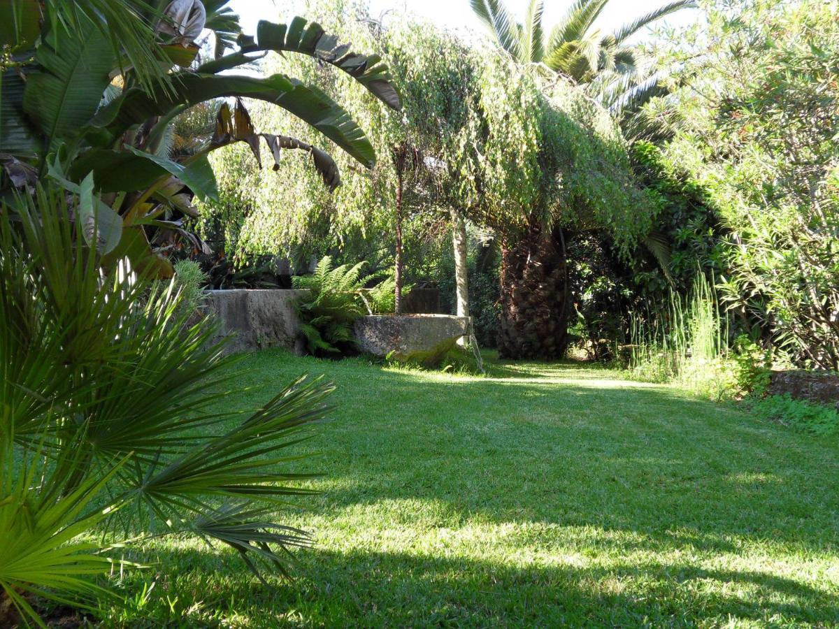 Quinta Do Bento Novo - Casa De Campo - Turismo Rural Viana do Castelo Zewnętrze zdjęcie