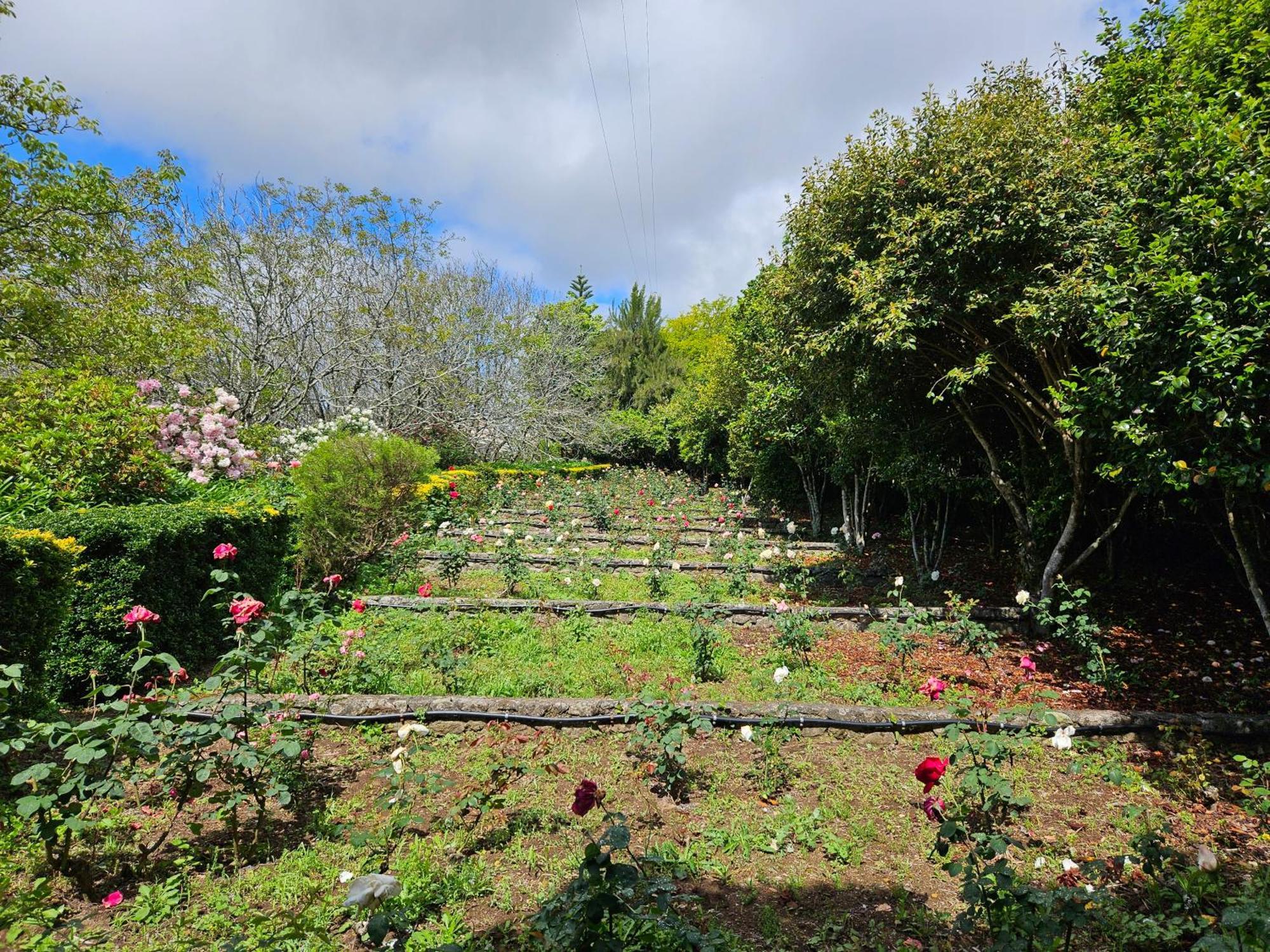 Quinta Do Bento Novo - Casa De Campo - Turismo Rural Viana do Castelo Zewnętrze zdjęcie